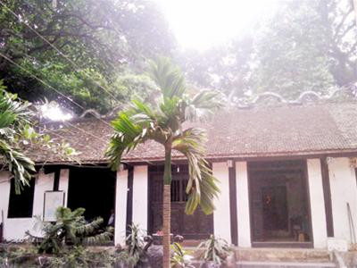 Đền Voi Phục - Thụy Khuê luôn được che mát bởi những tán khổng lồ của vườn cây.