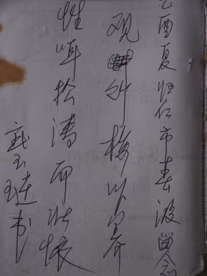 Quan mai trúc dĩ dưỡng tính/ Thính tùng đào nhi tráng hoài Cổ thi. Nhìn trúc mai mà dưỡng tính. Nghe gió quất cành tùng mà nuôi chí bền. (Thủ bút của Vũ Ngọc Liễn tặng tác giả) 