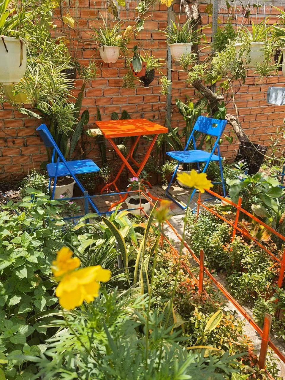 Vợ chồng chị Diễm dành nhiều thời gian chăm sóc vườn rau, hoa trong lúc ở nhà điều trị COVID-19.