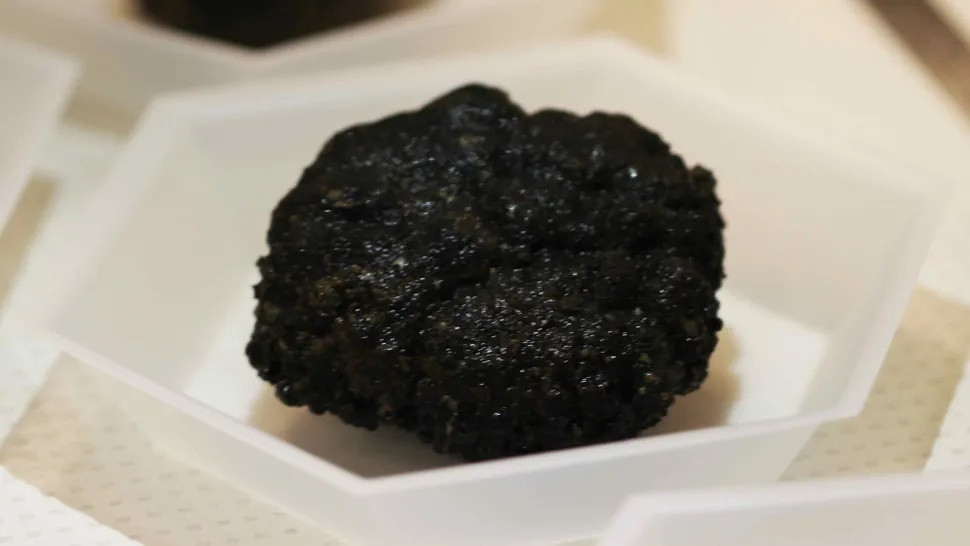 Các nốt đa kim loại được lắng đọng trên đáy biển hàng triệu năm trước và phát triển thêm khoảng 2 mm sau mỗi triệu năm.(Ảnh: Đoàn thám hiểm DeepCCZ)