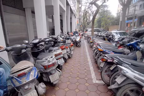Để xe ngoài vạch sơn 
