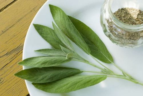 6 loại thảo dược trị mụn từ bên trong ảnh 2