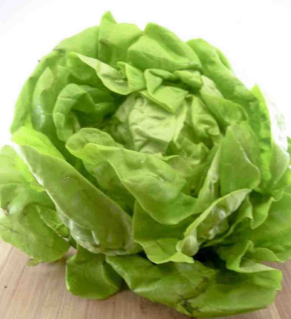 Những loại rau quả dễ khiến bạn nhiễm độc nhất ảnh 6