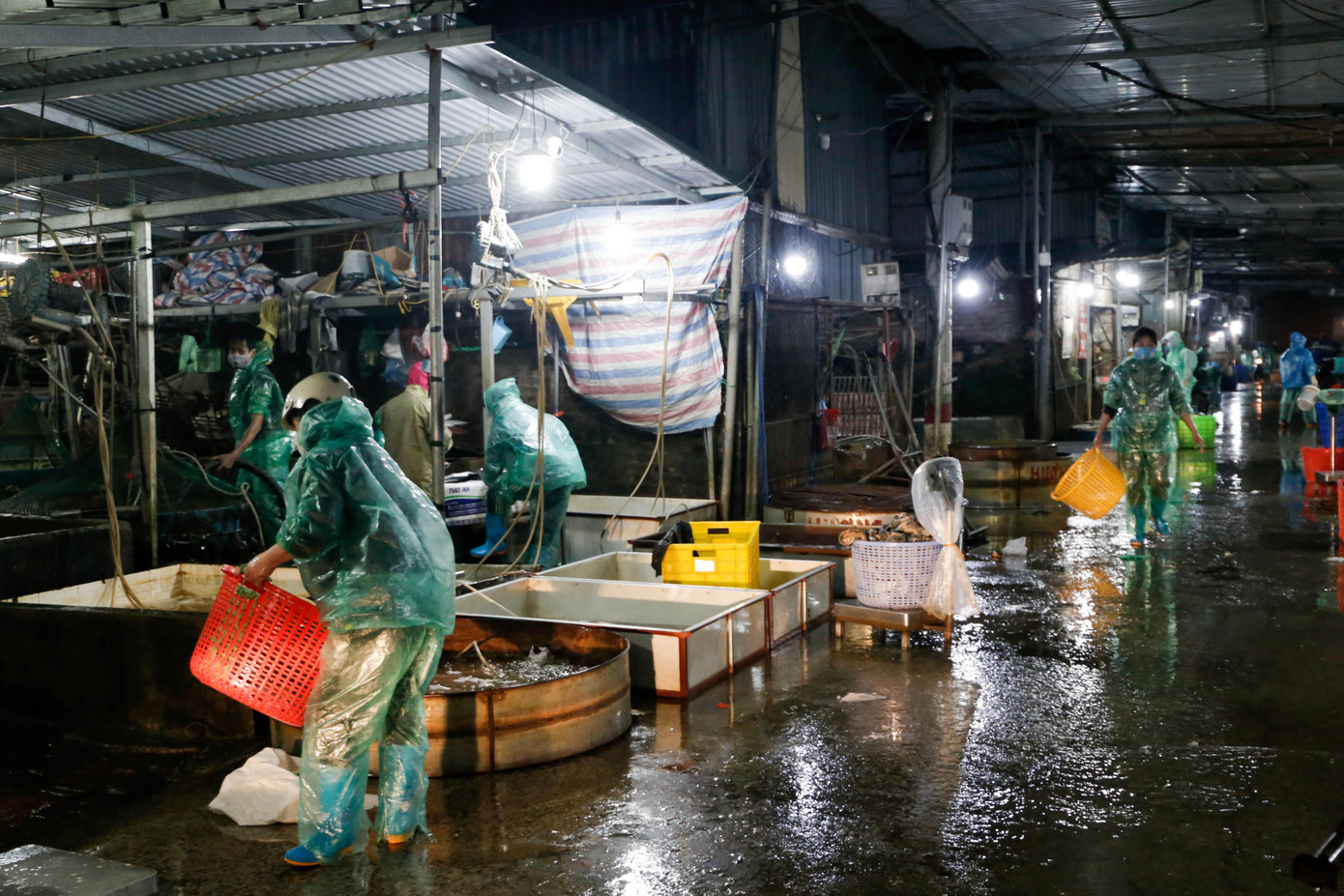 Theo ghi nhận của Tiền Phong, chợ cá Yên Sở tấp nập người ra vào từ 5h sáng, đây là chợ đầu mối cung cấp cá lớn nhất tại Hà Nội