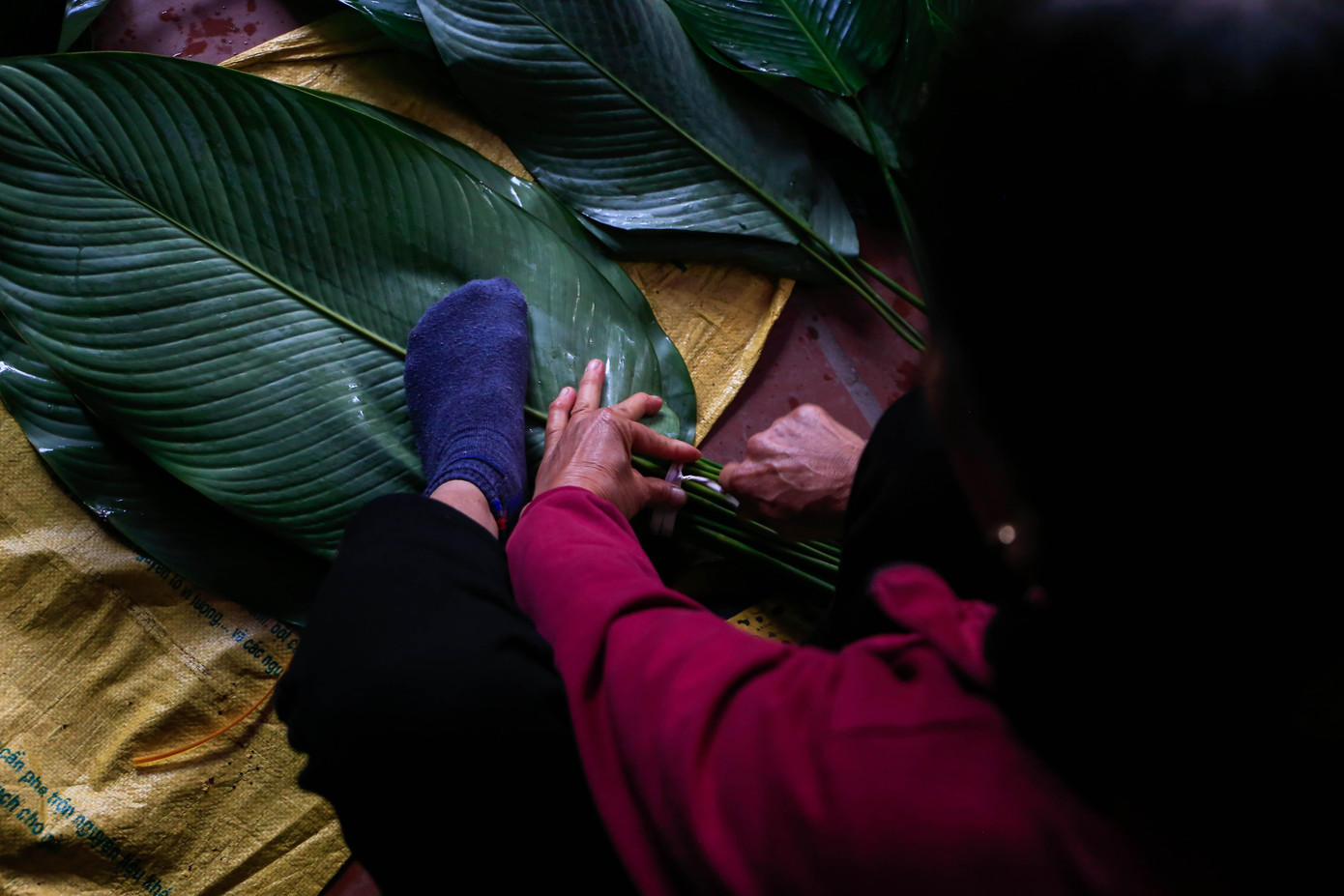 Tại đây có 2 loại lá, loại vừa để gói bánh tét, còn loại lớn thì để gói bánh chưng. Mỗi bó được xếp khoảng 50 - 100 lá, mỗi bó có giá dao động từ 50.000 - 100.000 đồng. Tại đây có 2 loại lá, loại vừa để gói bánh tét, còn loại lớn thì để gói bánh chưng. Mỗi bó được xếp khoảng 50 - 100 lá, mỗi bó có giá dao động từ 50.000 - 100.000 đồng.