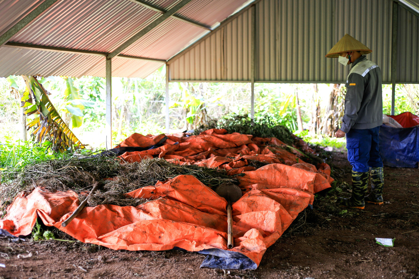 Rau củ, hoa màu tại đây được dùng bởi các loại phân ủ thủ công khác nhau như: đạm trứng, đạm cá, dịch chuối…