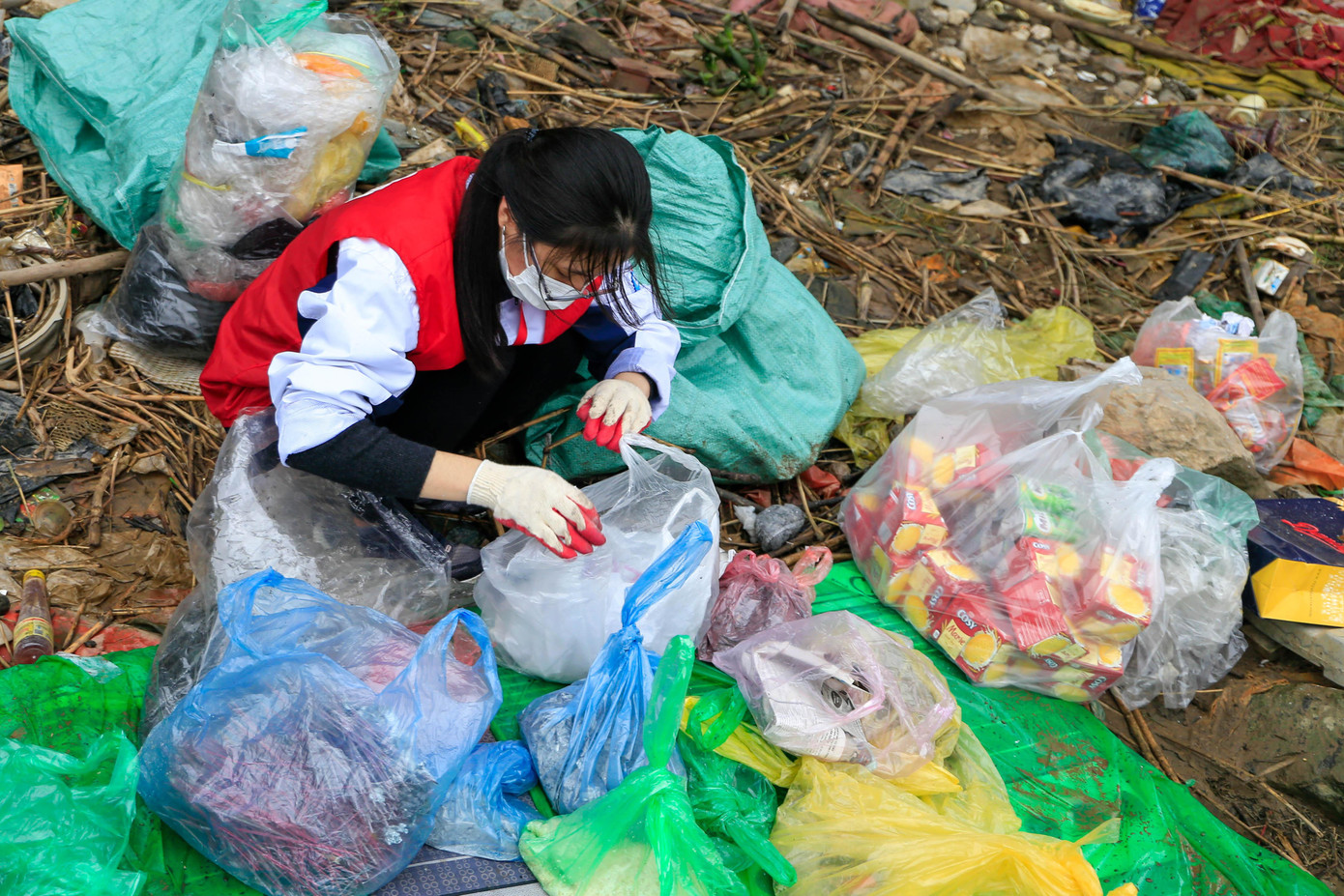 Diệu Linh (sinh năm 2001, ở Long Biên, Hà Nội), cho biết: "Để triển khai công việc dự án, nhóm Cá Chép lên kế hoạch từ tháng 12/2020. Công việc sẽ được chia đều cho các bạn như tuyển thành viên, phân công vị trí và kêu gọi tài trợ.... Hiện nay, nhóm Cá Chép đã hoạt động được 9 năm và chỉ tập trung tại cầu Long Biên"