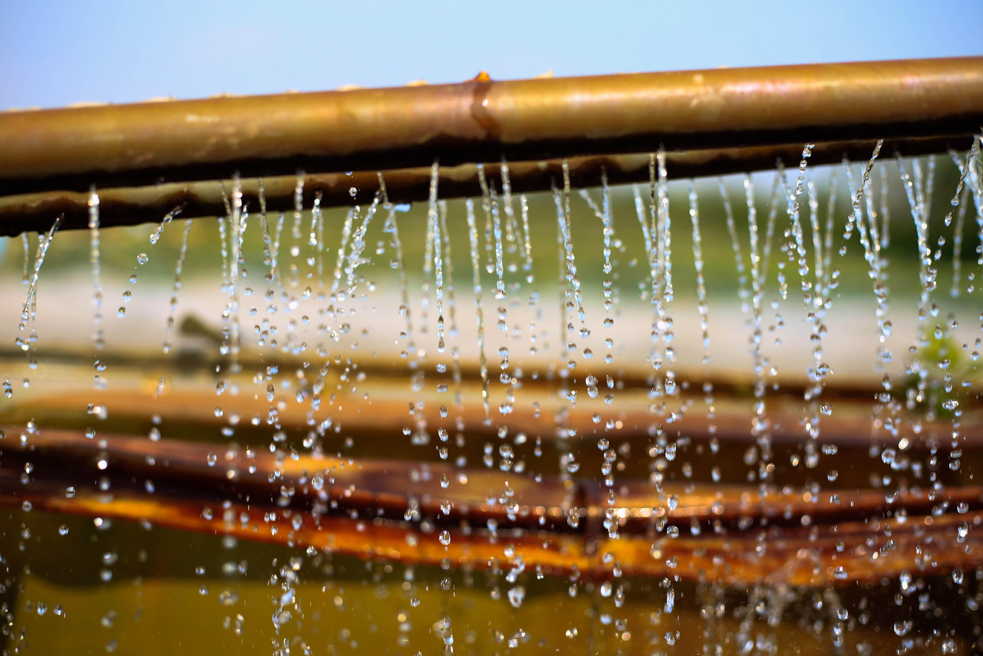 Để tiết kiệm chi phí các hệ thống dẫn nước ngầm tại đây đều được anh Chinh tự mày mò nghiên cứu và lắp đặt như đào giếng, xây bể lọc nước, kéo điện,...