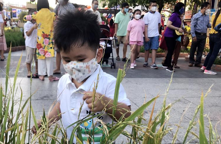 Hầu hết người dân đều chấp hành đeo khẩu trang khi tham quan đường hoa Nguyễn Huệ.