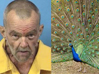 Ông David Beckman bị buộc tội sex với công. Ảnh: mirror. Ông David Beckman bị buộc tội sex với công. Ảnh: mirror