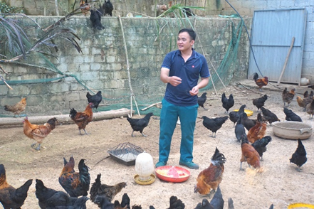 Đảng viên Hà Văn Ngọc - Giám đốc HTX dịch vụ nông nghiệp tổng hợp thanh niên đang giới thiệu về sản phầm gà đen OCOP