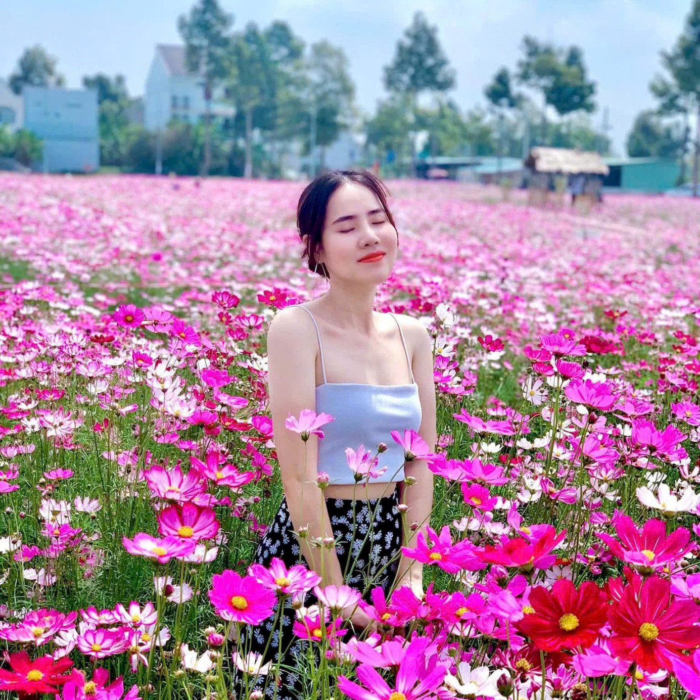 Chỉ cách trung tâm Cần Thơ 7km, vườn hoa sao nhái tại KITA Airport City đang là điểm đến lý tưởng cho người dân và du khách thập phương đến du xuân. (Ảnh: KITA Group).