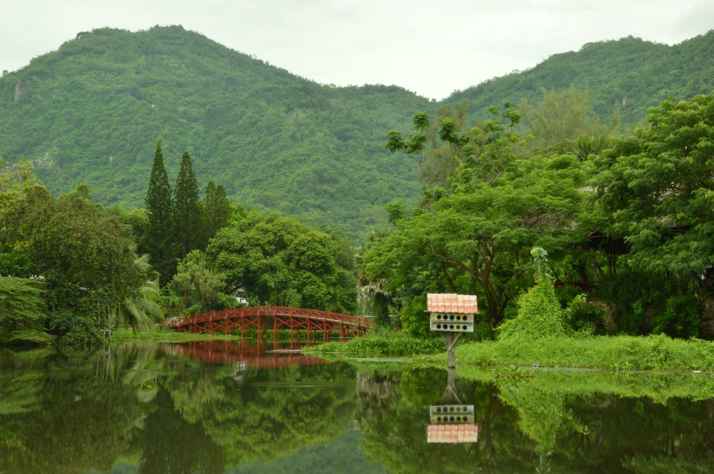 Một góc mạn uyển tại Lâm Viên