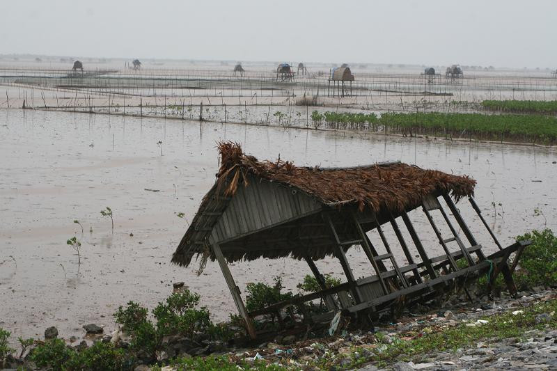 Chòi canh vạm, nghêu bị bão đánh sập