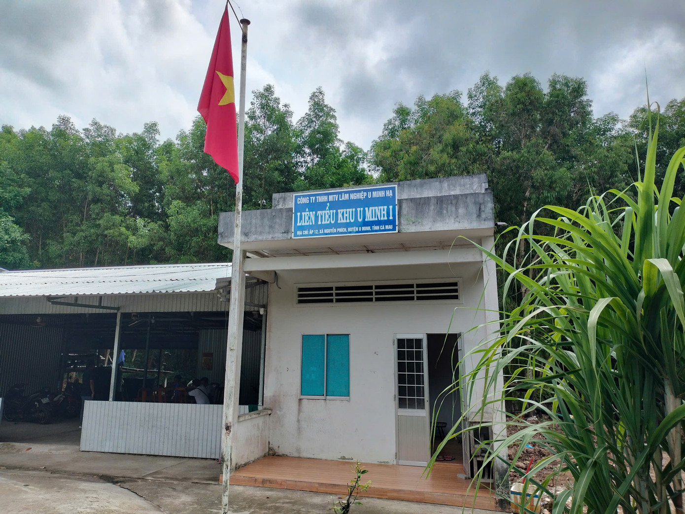 Công ty có 70 khoảnh, 34 tiểu khu, thuộc 5 Liên tiểu khu có khu vực trọng điểm chính dễ cháy, với tổng diện tích hơn 3.000ha. Công ty có 70 khoảnh, 34 tiểu khu, thuộc 5 Liên tiểu khu có khu vực trọng điểm chính dễ cháy, với tổng diện tích hơn 3.000ha.