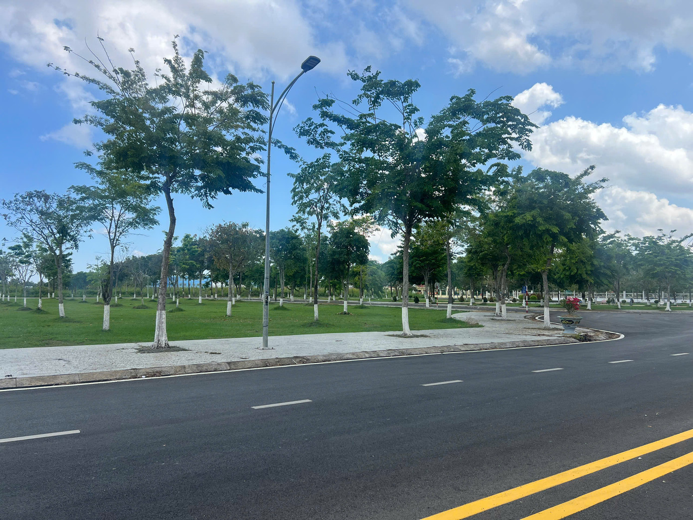 Dự án cây xanh trên địa bàn tỉnh Bạc Liêu. Ảnh minh hoạ.