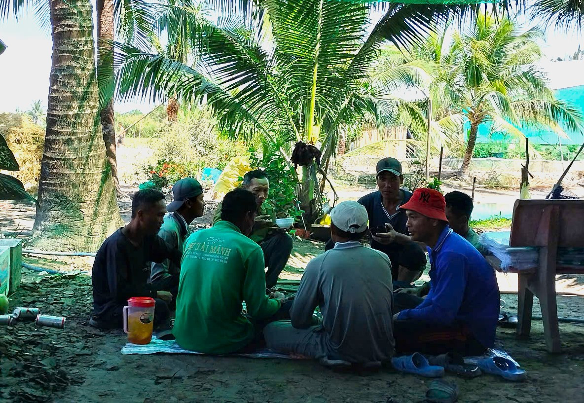 Sau khi cắt xong, người cắt lúa thuê chọn bóng mát tụ tập ăn cơm được mang theo từ nhà.