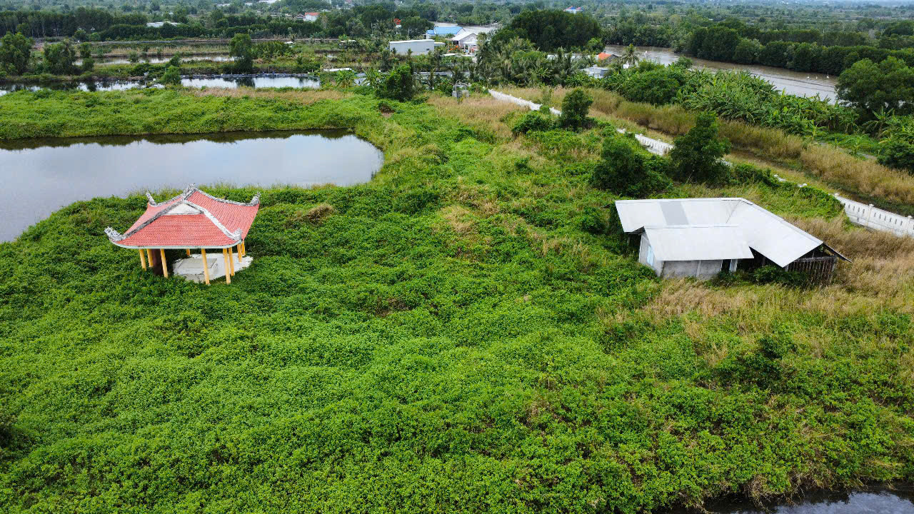 Được công nhận Di tích lịch sử quốc gia từ năm 2000, những năm gần đây, Biệt khu Hải Yến-Bình Hưng thưa vắng khách đến tham quan, tìm hiểu. Nhiều hạng mục hầu như không có đường vào, cỏ dại mọc um tùm.