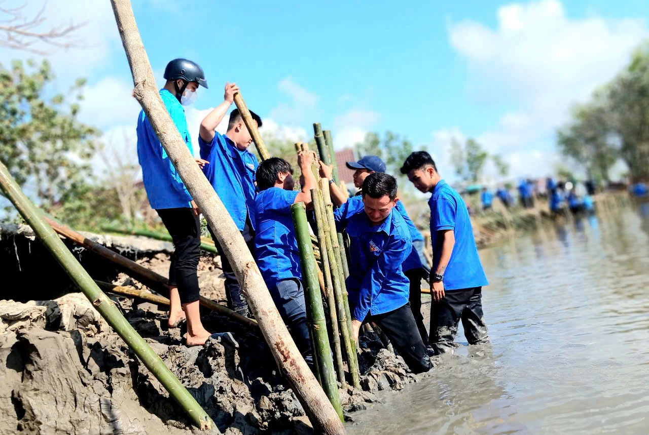 Đoàn viên thanh niên Huyện Trần Văn Thời chung tay gia cố bờ kè, bảo vệ tuyến lộ giao thông nông thôn trước nguy cơ sạt lở.