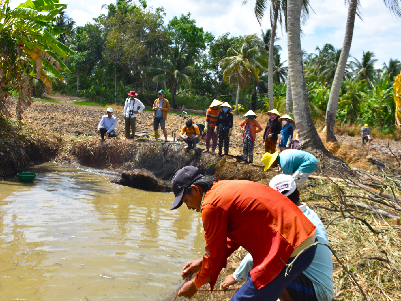 Sáng sớm, nhà ông Nguyễn Hùng Văn (ngụ ấp Trùm Thuật, xã Khánh Hải, huyện Trần Văn Thời) có khoảng 20 người trong ấp kéo đến phụ giúp gia đình chụp đìa. Đàn ông xuống lưới bao quanh đìa, còn phụ nữ nhặt rau, làm thức ăn đợi lên đìa.