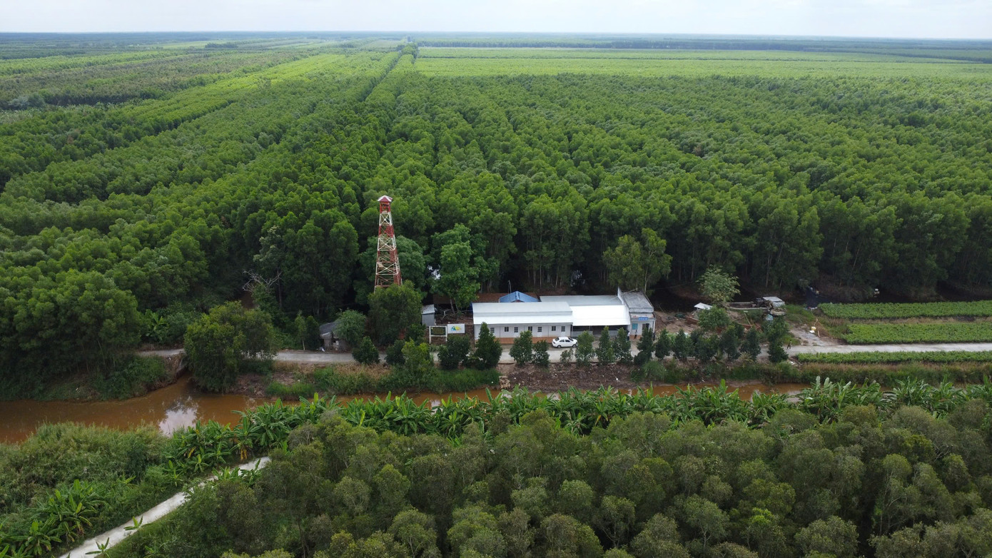 Công ty TNHH MTV Lâm nghiệp U Minh Hạ đang quản lý hơn 24.000ha rừng, trong đó, hợp tác đầu tư khoảng 4.000ha, giao khoán gần 16.000ha và công ty trực tiếp quản lý khoảng 4.000ha. Công ty TNHH MTV Lâm nghiệp U Minh Hạ đang quản lý hơn 24.000ha rừng, trong đó, hợp tác đầu tư khoảng 4.000ha, giao khoán gần 16.000ha và công ty trực tiếp quản lý khoảng 4.000ha.