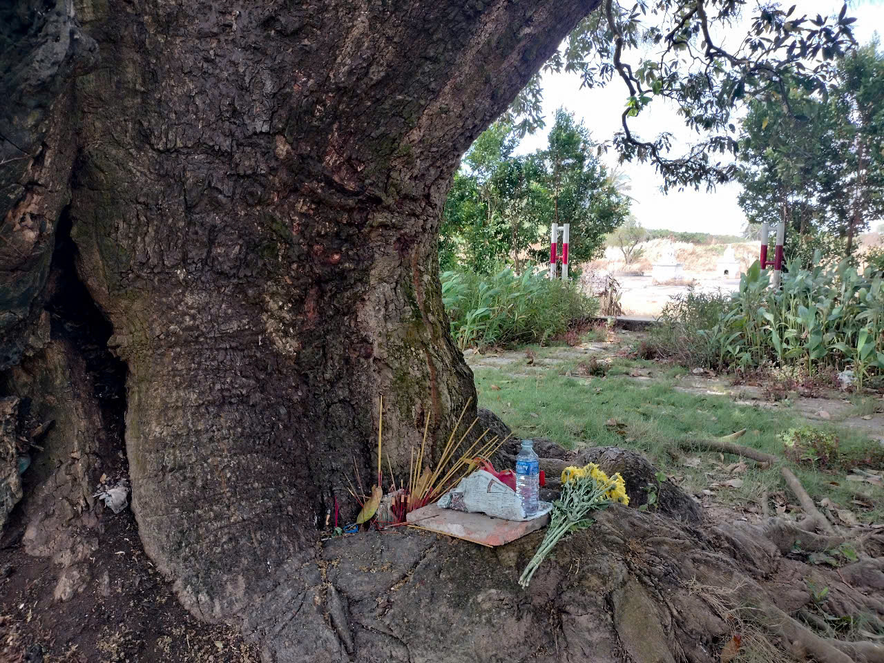 Người dân vẫn thỉnh thoảng đến thắp hương, cúng bái dưới gốc cây xoài cầu bình an, sự nghiệp. Người dân vẫn thỉnh thoảng đến thắp hương, cúng bái dưới gốc cây xoài cầu bình an, sự nghiệp.