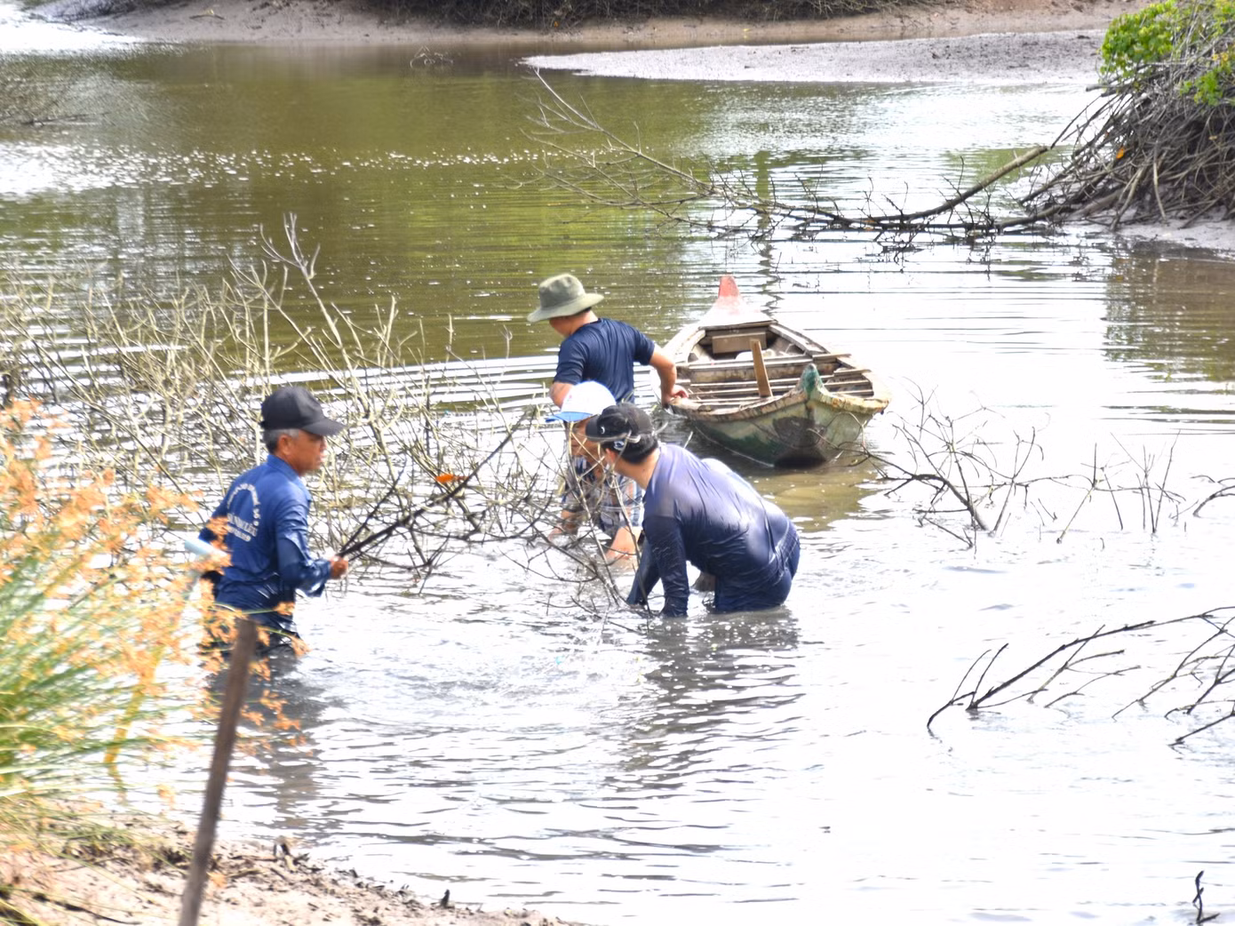 Dỡ chà bắt cá.