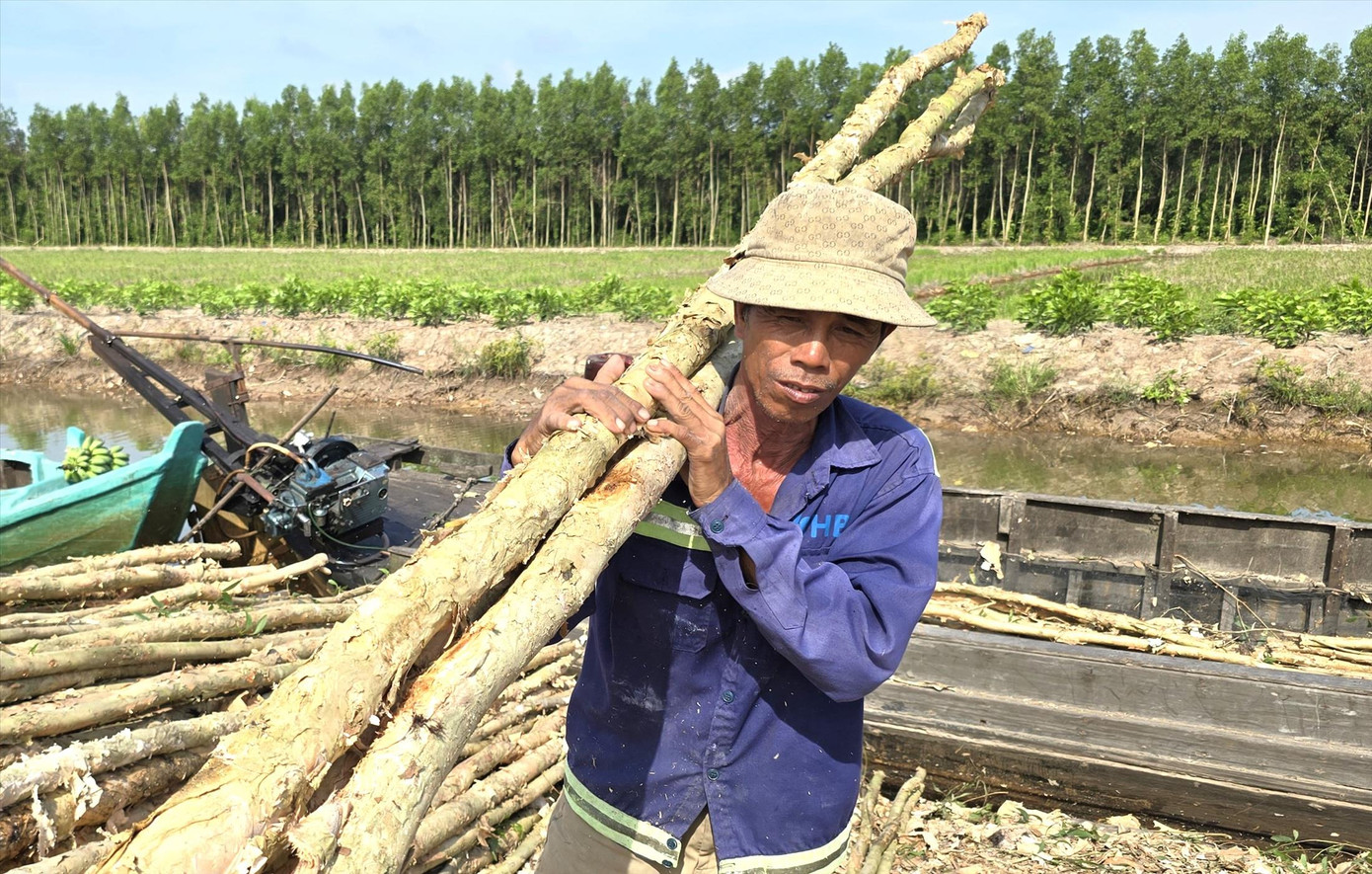 Ông Đức đã làm bốc vác tại chợ tràm được gần 30 năm nay. Ông Đức đã làm bốc vác tại chợ tràm được gần 30 năm nay.