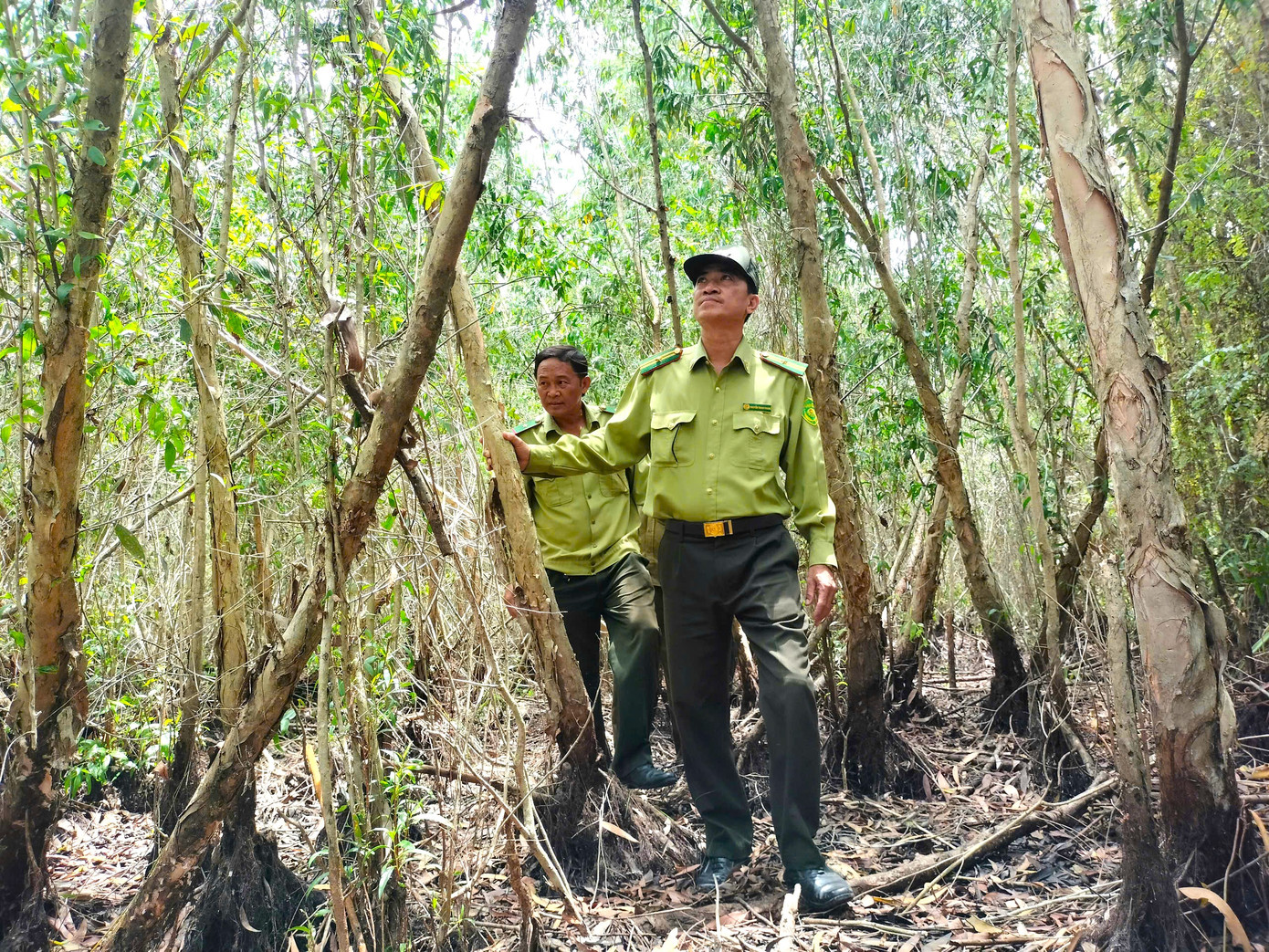 Lực lượng kiểm lâm thường xuyên luồn rừng, kiểm tra độ ẩm lớp thực bì và đề phòng trường hợp người dân vào rừng săn ong, bắt cá, săn bắt động vật trái phép và mang theo mồi lửa, gây nguy cơ cháy rừng. Lực lượng kiểm lâm thường xuyên luồn rừng, kiểm tra độ ẩm lớp thực bì và đề phòng trường hợp người dân vào rừng săn ong, bắt cá, săn bắt động vật trái phép và mang theo mồi lửa, gây nguy cơ cháy rừng.