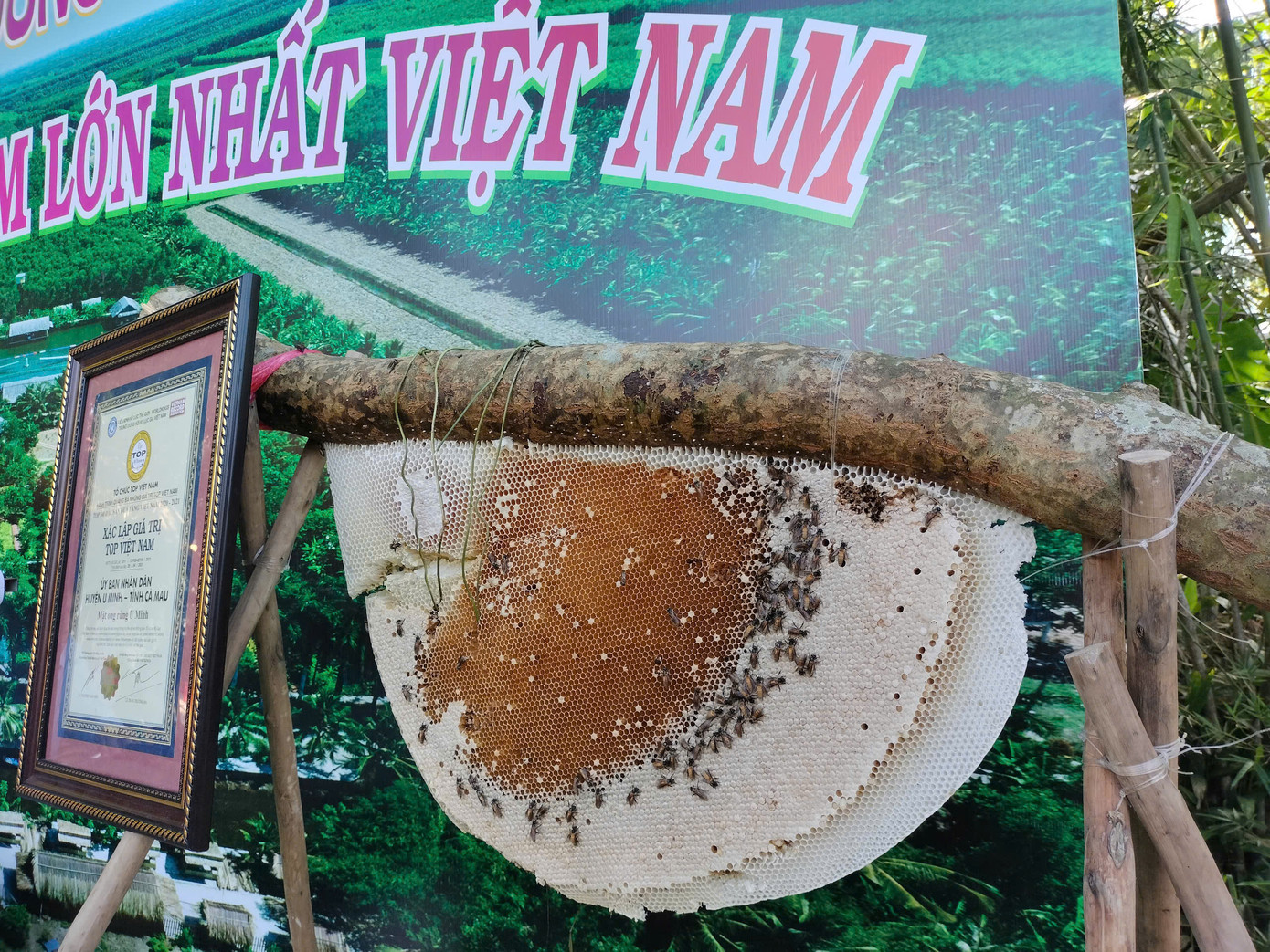 Rừng U Minh còn nổi tiếng với nghề gác kèo ong lấy mật được truyền qua nhiều đời, đã được công nhận di sản văn hoá phi vật thể quốc gia. Mật ong rừng U Minh và lẩu mắm U Minh cũng được xem đặc sản nổi tiếng của địa phương.