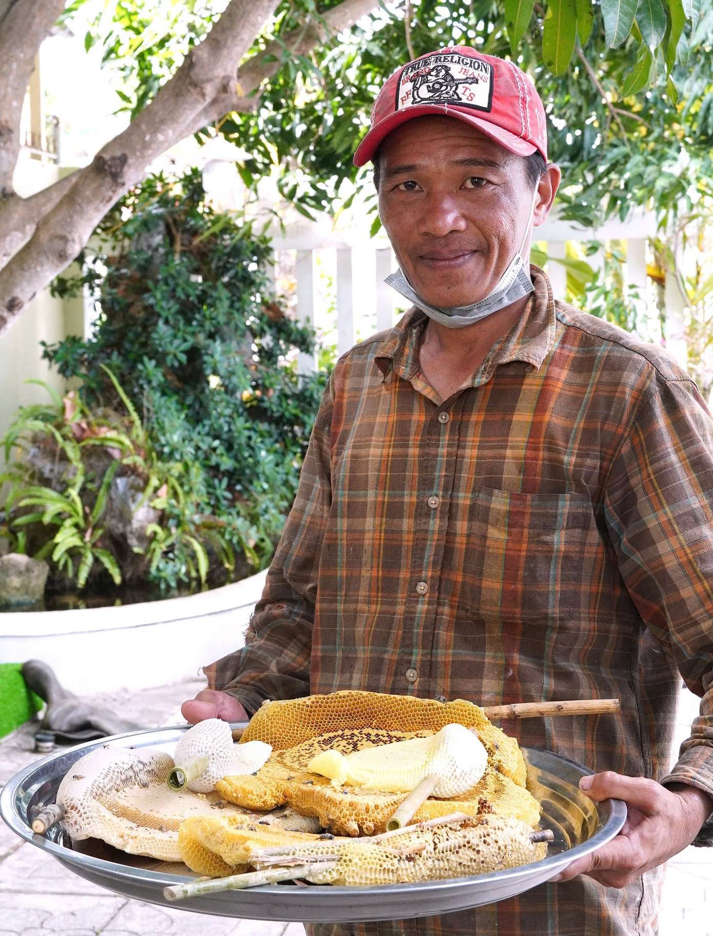 Hiện, mật ong ruồi được xếp vào hàng hiếm nên giá đắt hơn từ 2-3 lần so với loại mật khác. Tuy vậy, người thợ chăm chỉ vẫn có thu nhập tiền triệu mỗi ngày từ nghề này.