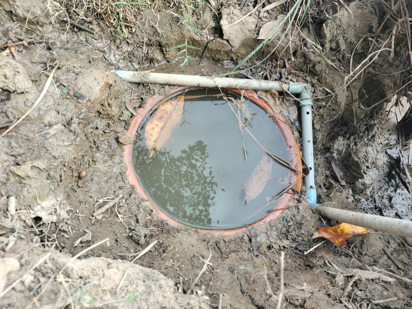 Ngày nay, người nông dân dùng ống nhựa nhỏ từng giọt nước vào hầm để cá biết có nước mà lọt hầm.