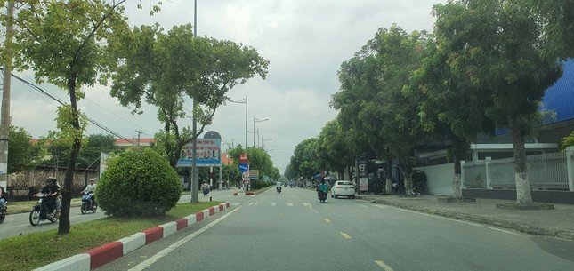 Cây xanh trên tuyến đường TP. Bạc Liêu (Ảnh minh hoạ).