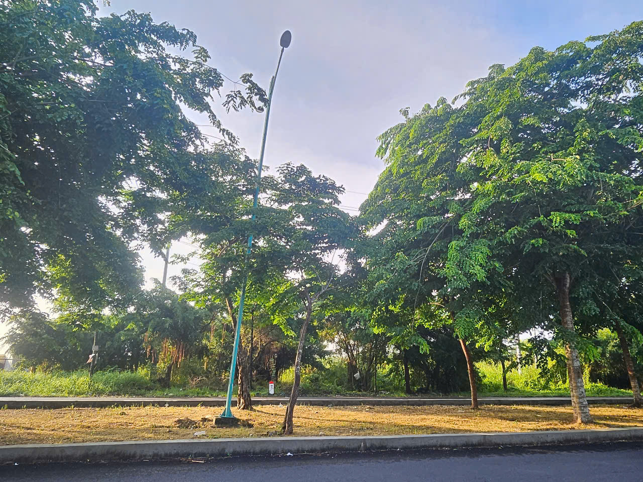 Công trình điện chiếu sáng công cộng dọc theo tuyến đường Hành lang ven biển phía Nam (tuyến Xuyên Á), đoạn qua thị trấn Thới Bình.