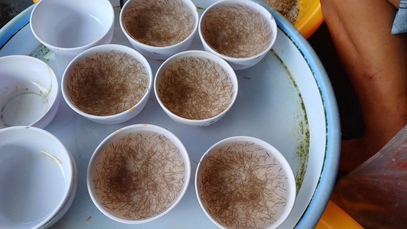 Người bán và người mua cùng nhìn vào mật độ tôm trong chén để thống nhất ước 1.000 con/1 chén.