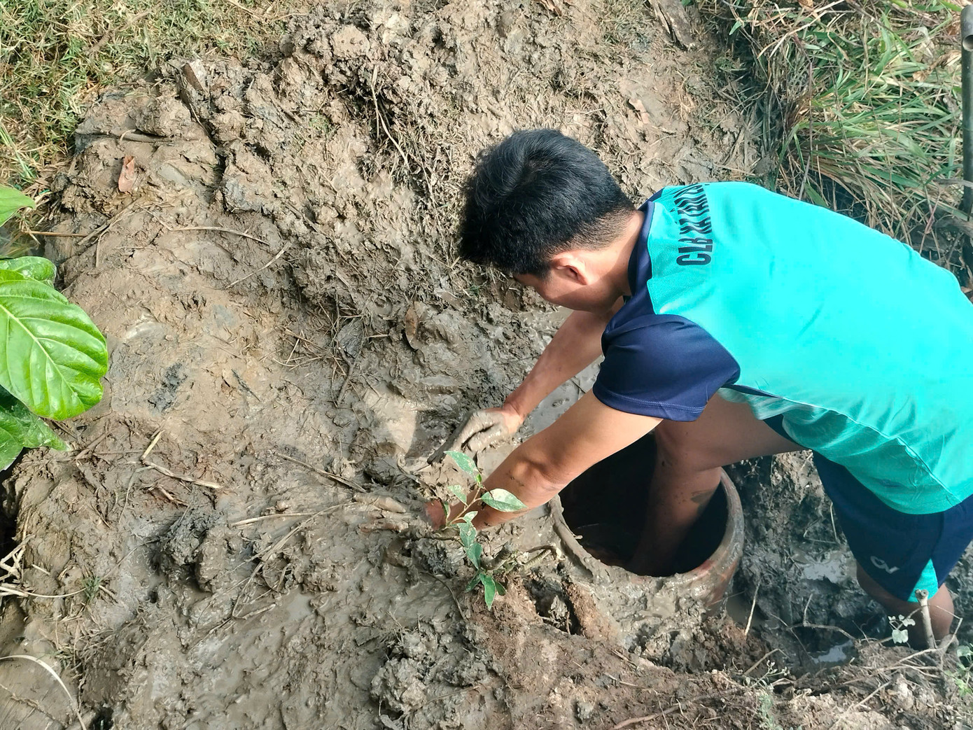 “Làm hầm để bắt được cá lóc phải có kỹ thuật. Mặt hầm và mặt nước phải chênh lệch khoảng 2 tấc (20cm) nước, rồi làm đất cho bóng, che đậy kỹ càng. Cá thường bơi theo dòng chảy để tìm về nguồn nước trú ẩn. Thế nên khi bơi lên chỗ nước chảy sẽ lọt vào hầm”, anh Đặng Văn Trường (ngụ xã Tân Lộc, huyện Thới Bình) chia sẻ.