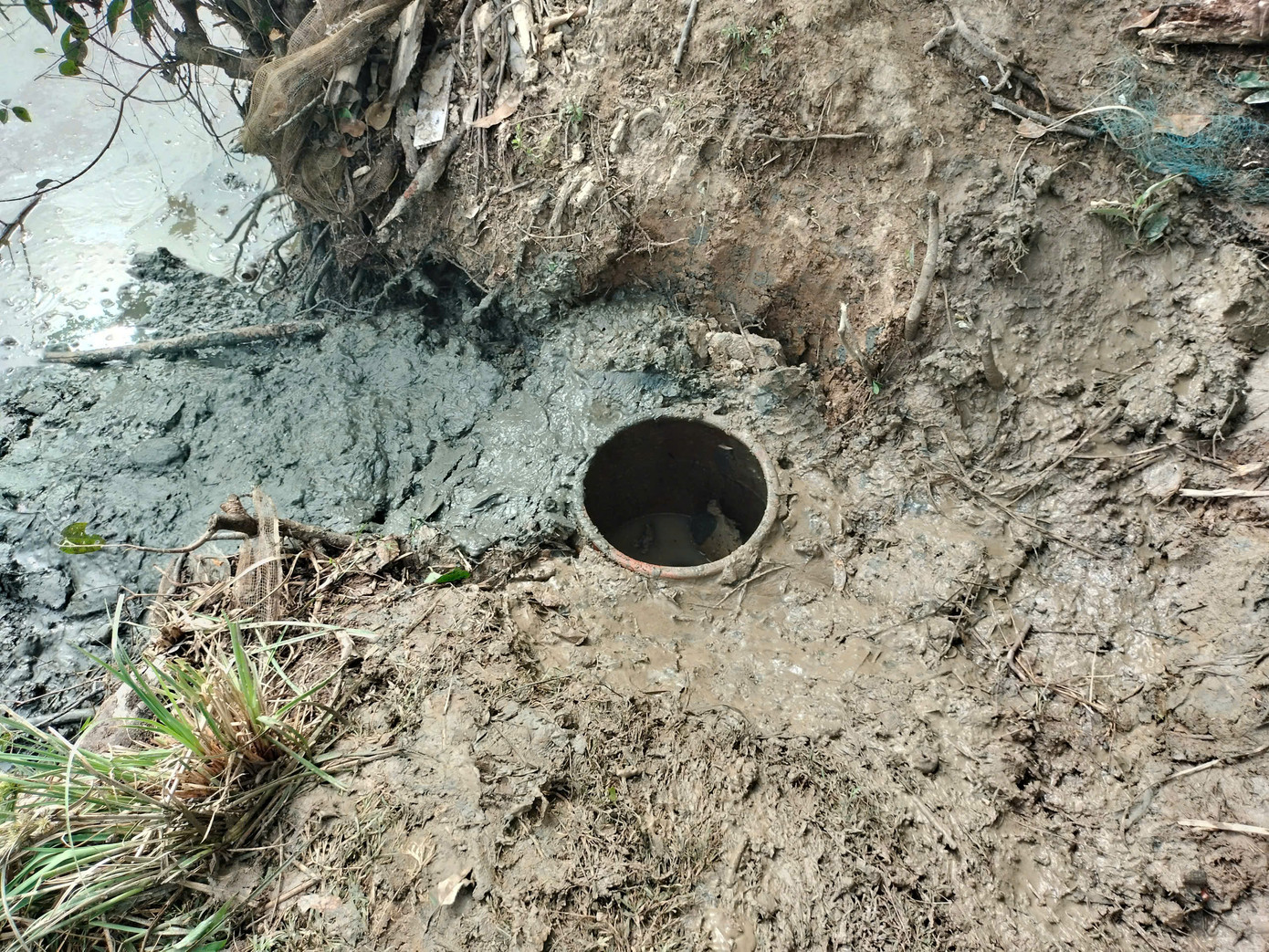 Huyện Thới Bình (tỉnh Cà Mau) có 6 tháng nước mặn, 6 tháng nước ngọt. Thông thường, từ khoảng tháng 10, 11 Âm lịch, nông dân bắt đầu rút nước cạn đồng để thu hoạch lúa. Cá cũng theo con nước vào ao, đìa để sống cho qua mùa hạn.