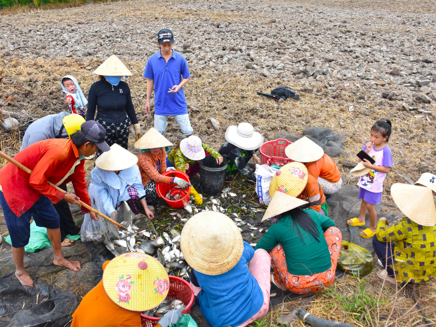Bà Vũ Thị Hiên (vợ ông Út) cho biết: “Ở đây, năm nào cũng vậy, chị em hàng xóm vần công qua lại. Khi nhà nào có chụp đìa thông báo cho nhau, rồi cứ thế sắp xếp mỗi nhà 1 ngày để phụ giúp qua lại. Đàn ông lên lưới xong thì phụ nữ chúng tôi tập trung lựa (phân loại) cá, làm cá. Chị em gần gũi nhau phụ qua lại chứ không tính toán so đo chuyện tiền bạc”.