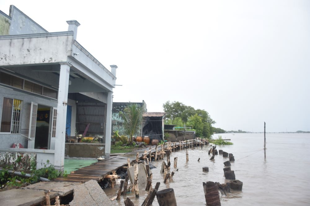 Địa phương cùng người dân đóng góp kinh phí để làm kè tạm bằng cừ dừa, cừ tràm, dựng cầu gỗ đi tạm do đường đã bị sạt lở hết.