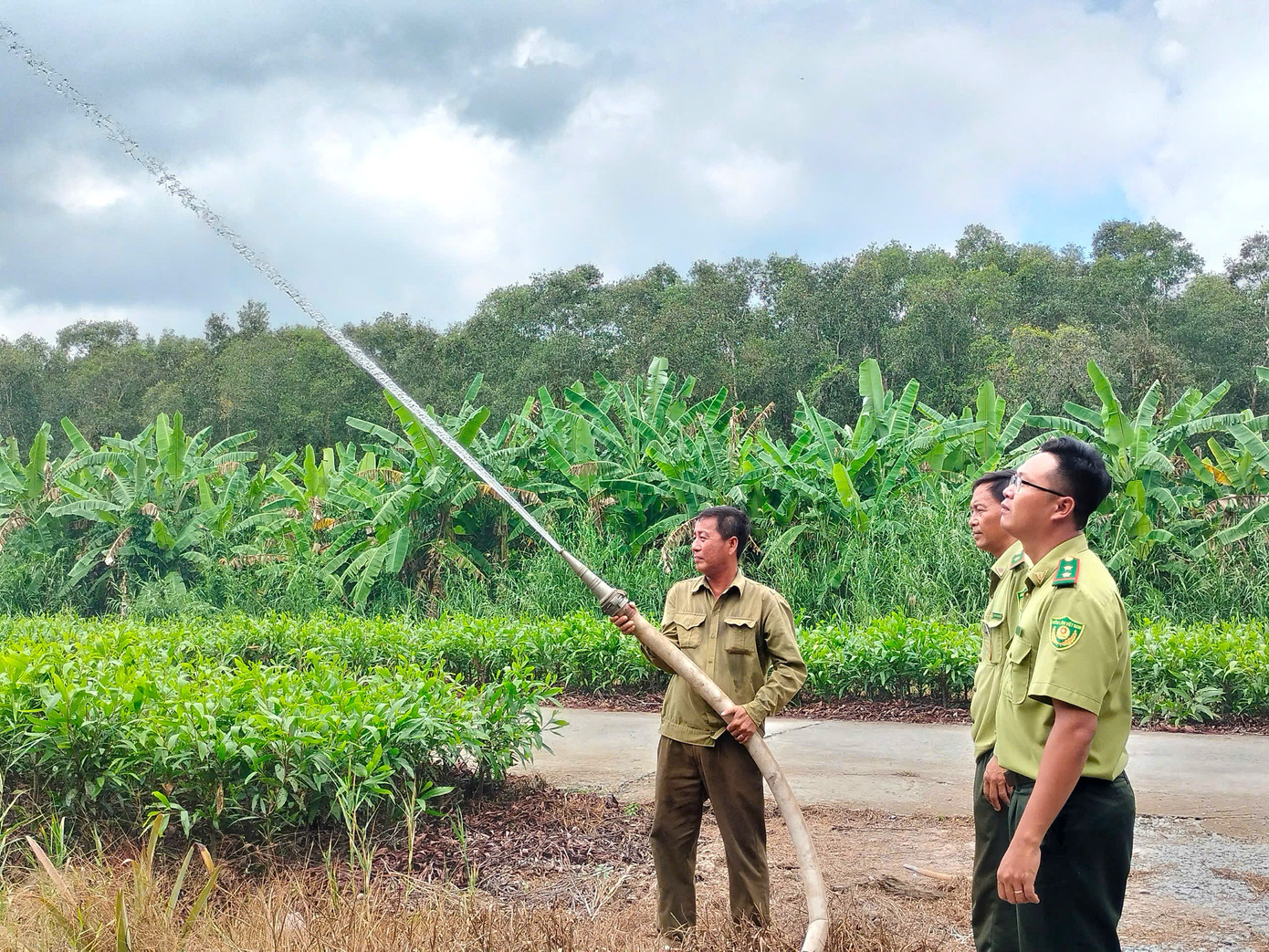 Do đặc điểm rừng U Minh Hạ rất dễ cháy vào mùa khô, Ban lãnh đạo công ty đã xác định công tác quản lý bảo vệ rừng, phòng cháy và chữa cháy rừng là nhiệm vụ trọng tâm được đặt lên hàng đầu. Do đặc điểm rừng U Minh Hạ rất dễ cháy vào mùa khô, Ban lãnh đạo công ty đã xác định công tác quản lý bảo vệ rừng, phòng cháy và chữa cháy rừng là nhiệm vụ trọng tâm được đặt lên hàng đầu.