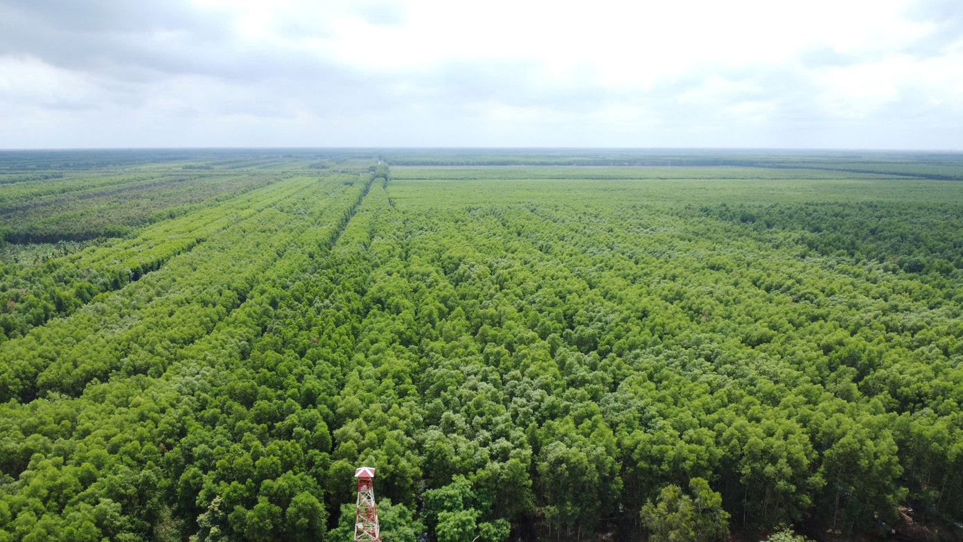 Tính đến ngày 28/3, tỉnh Cà Mau có khoảng 13.000ha cảnh báo cháy cấp 3 (cấp cao), hơn 17.000ha cấp 4 (cấp nguy hiểm) và gần 4.000ha cấp 5 (cấp cực kỳ nguy hiểm). Tính đến ngày 28/3, tỉnh Cà Mau có khoảng 13.000ha cảnh báo cháy cấp 3 (cấp cao), hơn 17.000ha cấp 4 (cấp nguy hiểm) và gần 4.000ha cấp 5 (cấp cực kỳ nguy hiểm).