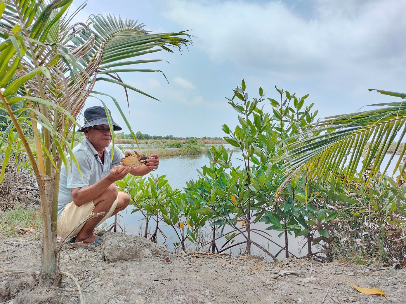 Tình trạng cua chết bất thường diễn ra tại nhiều ao nuôi ở Cà Mau từ đầu năm tới nay. Tình trạng cua chết bất thường diễn ra tại nhiều ao nuôi ở Cà Mau từ đầu năm tới nay.