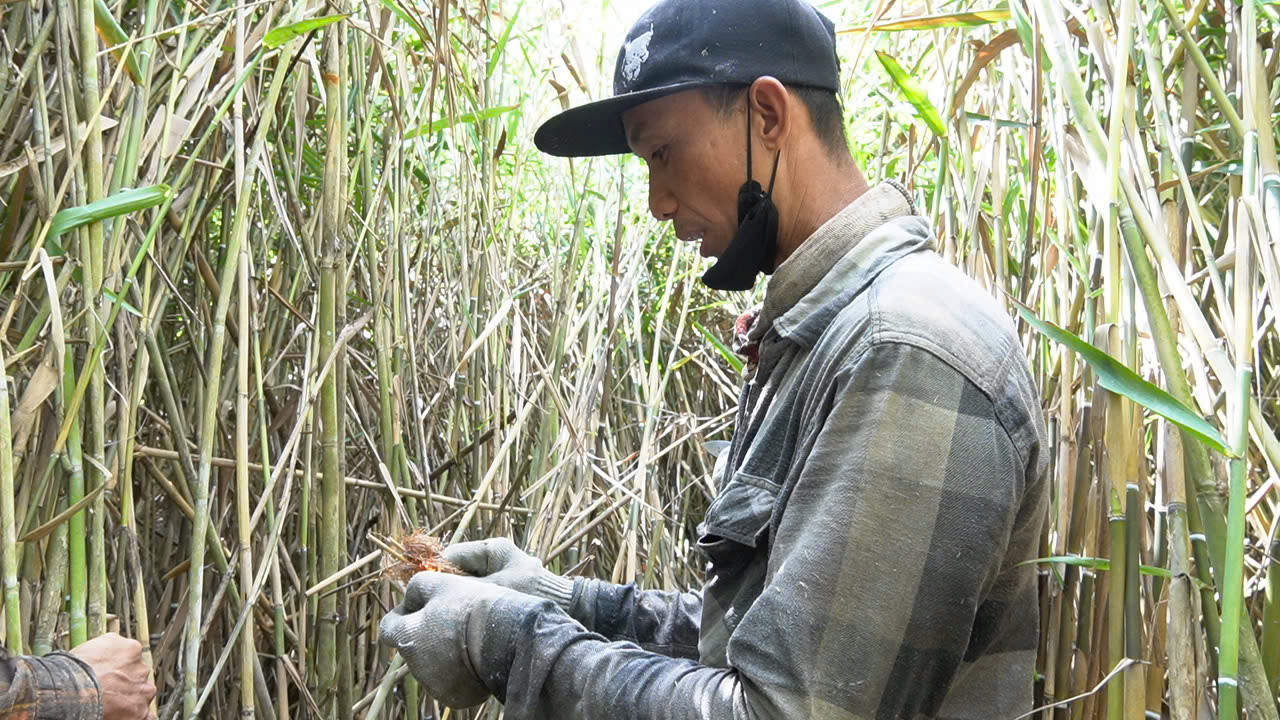 Hành trang của người săn ong luôn có cơm, nước uống, bình đựng mật và không thể thiếu gói thuốc lá để bắt ong.