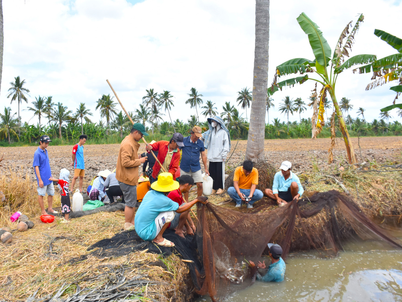 Ông Đinh Văn Út (ngụ ấp Trùm Thuật, xã Khánh Hải) chia sẻ: “Năm nào cũng vậy, cứ tới mùa chụp đìa là hàng xóm kéo lại mần vần công đông lắm. Hôm trước, nhà tôi lên đìa, cá tôm đem bán được mười mấy triệu, nay tôi đi mần lại trả công người ta đã giúp mình”.