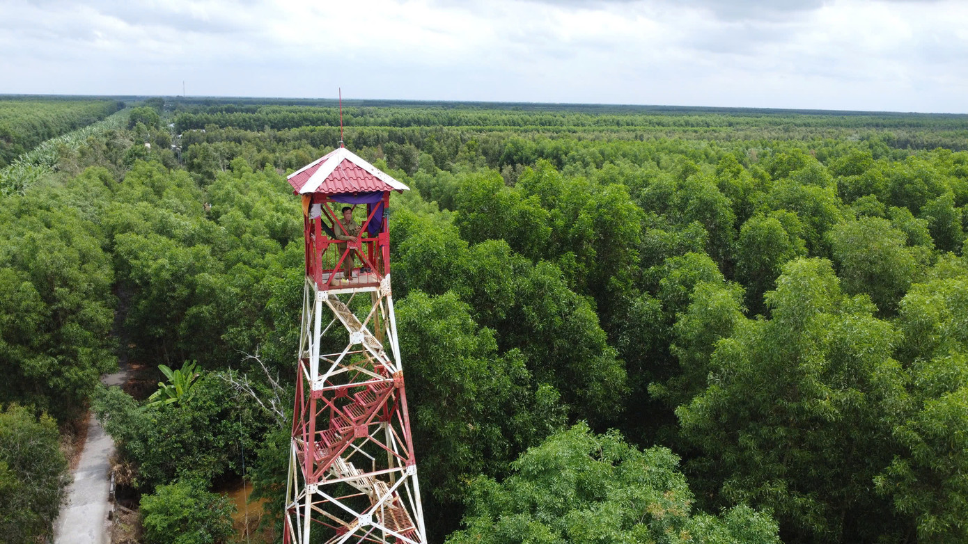 Lực lượng canh lửa mùa khô của Công ty TNHH MTV Lâm nghiệp U Minh Hạ ứng trực trên tháp canh cả ngày giữa tiết trời oi bức. Lực lượng canh lửa mùa khô của Công ty TNHH MTV Lâm nghiệp U Minh Hạ ứng trực trên tháp canh cả ngày giữa tiết trời oi bức.