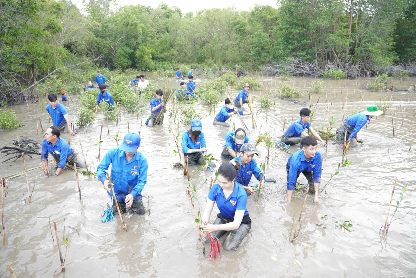 Những công trình, phần việc thanh niên do tuổi trẻ Cà Mau đảm nhận và triển khai thực hiện khi đi vào hoạt động đều phát huy hiệu quả thiết thực.