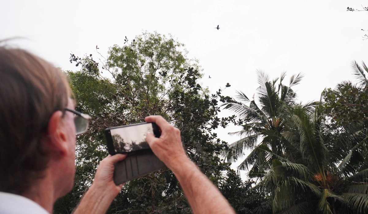 Thời điểm tham quan vườn chim thuận lợi nhất vào khoảng 5h30 - 6h30 sáng (lúc chim đi ăn) và buổi chiều từ khoảng 17h30 - 19h (khi chim bay về) hằng ngày. Thời điểm tham quan vườn chim thuận lợi nhất vào khoảng 5h30 - 6h30 sáng (lúc chim đi ăn) và buổi chiều từ khoảng 17h30 - 19h (khi chim bay về) hằng ngày.