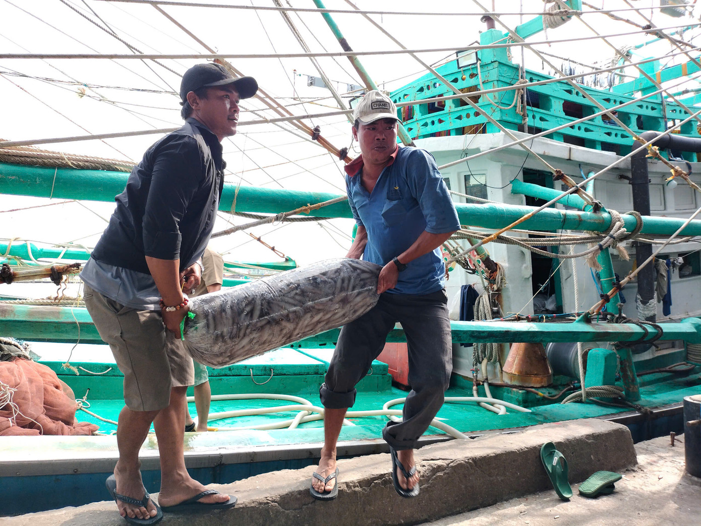 Hiện, mực tươi có giá khoảng 100 nghìn đồng/kg, với mực lớn được thu mua trong đêm có giá khoảng 220 – 250 nghìn đồng/kg. Hiện, mực tươi có giá khoảng 100 nghìn đồng/kg, với mực lớn được thu mua trong đêm có giá khoảng 220 – 250 nghìn đồng/kg.