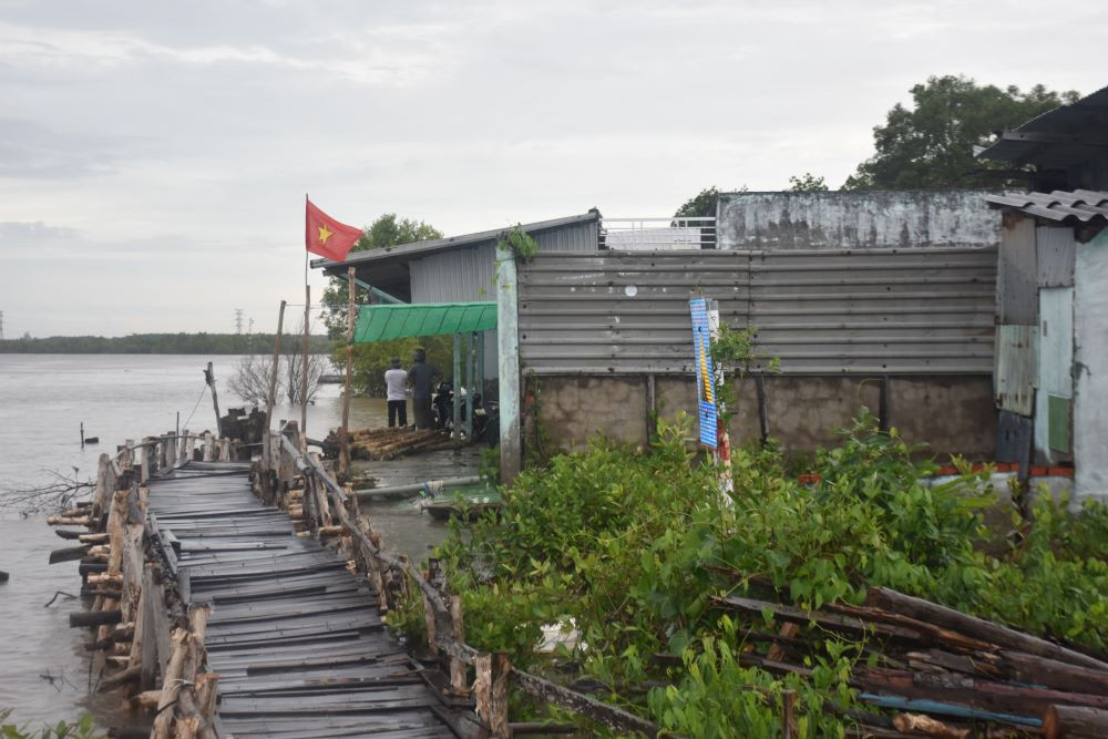 Khu vực sạt lở tại khóm Sa Phô, thị trấn Năm Căn với chiều dài khoảng 700m. Khu vực này có khoảng 40 hộ dân sinh sống.