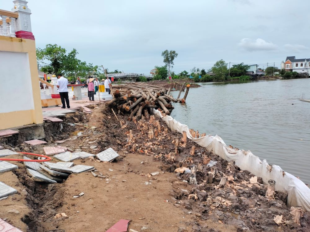 Để ứng phó tạm, địa phương đã triển khai đóng cừ tràm xung quanh khu vực chân miếu bà để gia cố, hạn chế sạt lở ảnh hưởng khu chánh điện.